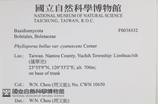 登錄號:F0038832藏品圖，第2張