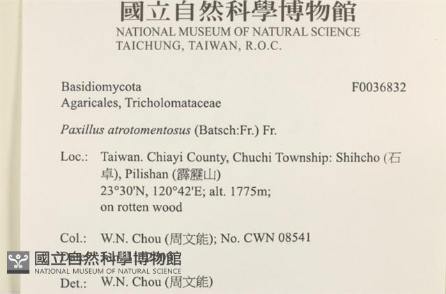 登錄號:F0036832藏品圖，第2張