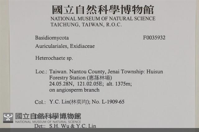 刺皮菌屬藏品圖，第2張