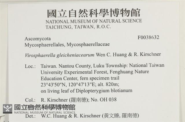 登錄號:F0038632藏品圖，第2張