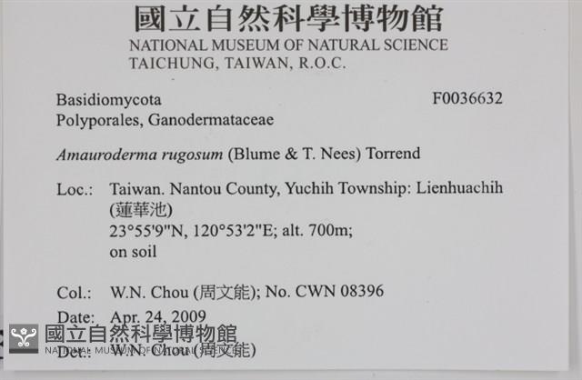 登錄號:F0036632藏品圖，第2張
