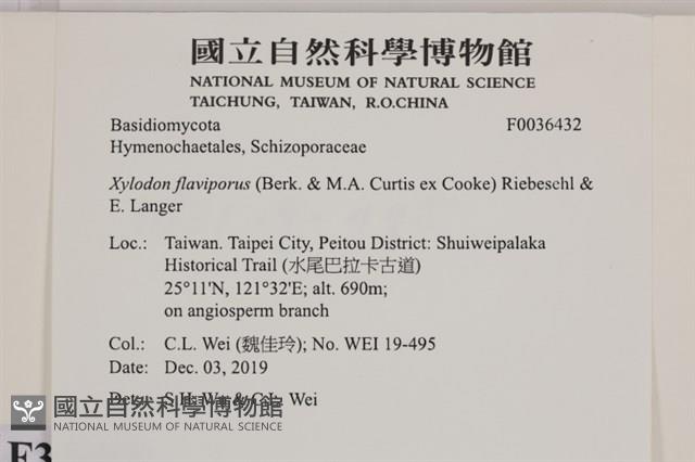 登錄號:F0036432藏品圖，第2張