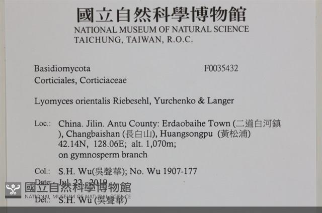 登錄號:F0035432藏品圖，第2張