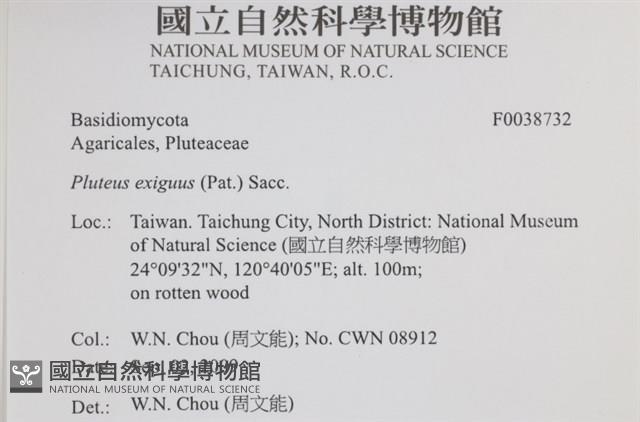 登錄號:F0038732藏品圖，第2張