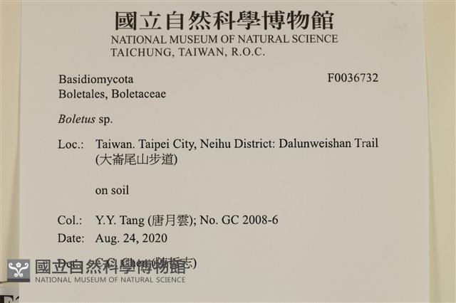 登錄號:F0036732藏品圖，第2張