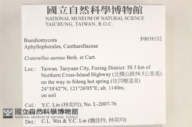 登錄號:F0038532藏品圖，第2張