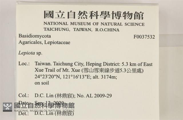 登錄號:F0037532藏品圖，第2張