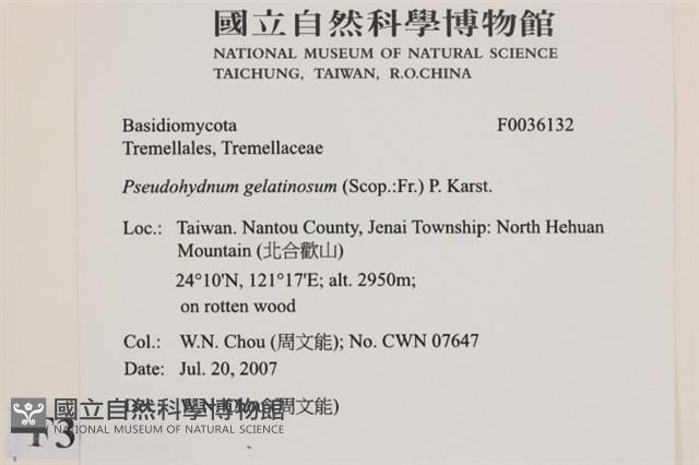 登錄號:F0036132藏品圖，第2張
