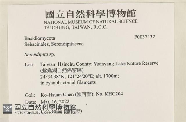 登錄號:F0037132藏品圖，第3張