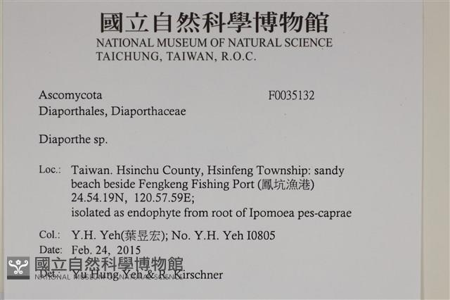 登錄號:F0035132藏品圖，第2張