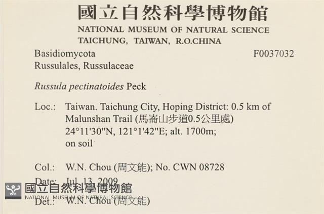 登錄號:F0037032藏品圖，第2張