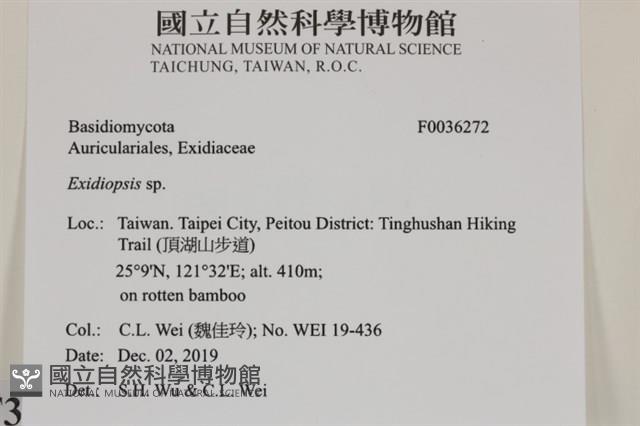 登錄號:F0036272藏品圖，第3張