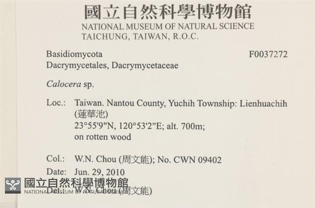 登錄號:F0037272藏品圖，第2張
