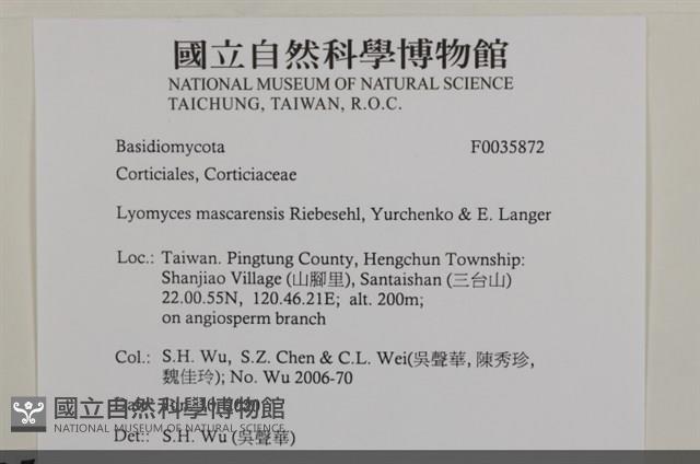 登錄號:F0035872藏品圖，第2張