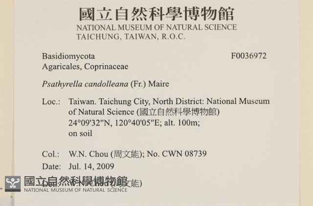 登錄號:F0036972藏品圖，第2張