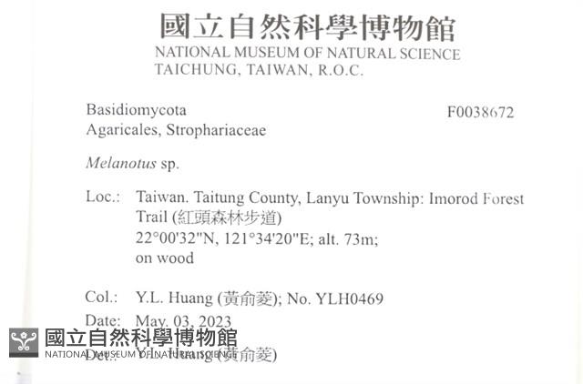 登錄號:F0038672藏品圖，第2張