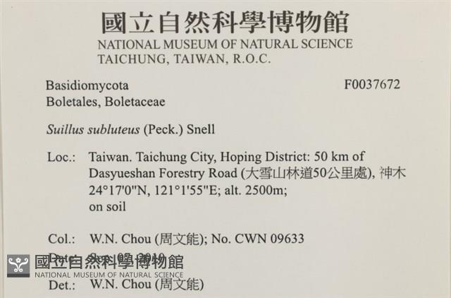 登錄號:F0037672藏品圖，第2張