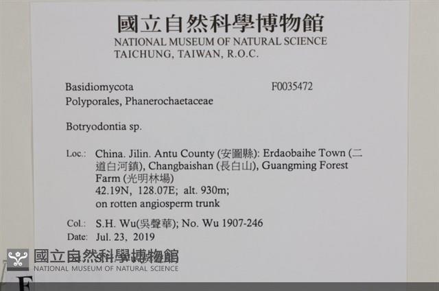 登錄號:F0035472藏品圖，第2張
