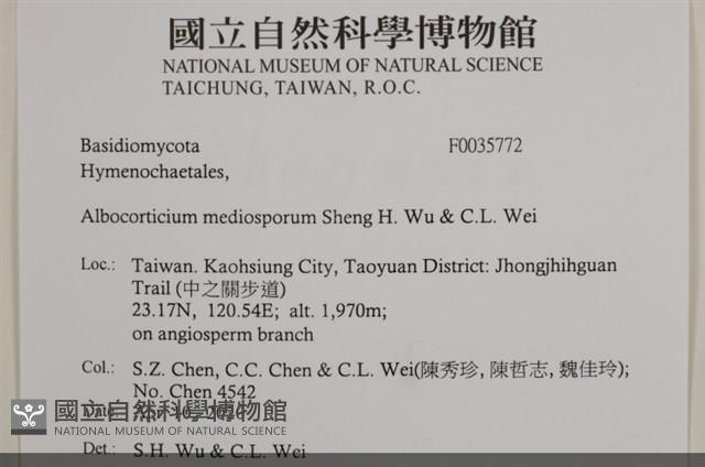 登錄號:F0035772藏品圖，第2張