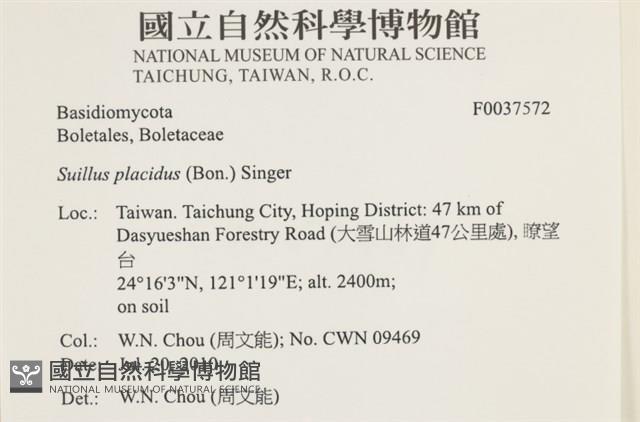 登錄號:F0037572藏品圖，第2張