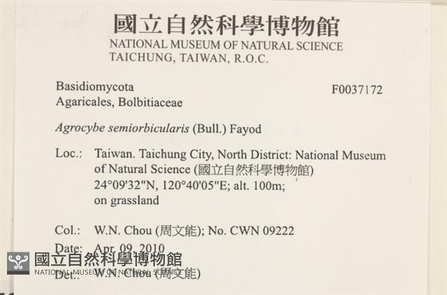 登錄號:F0037172藏品圖，第2張