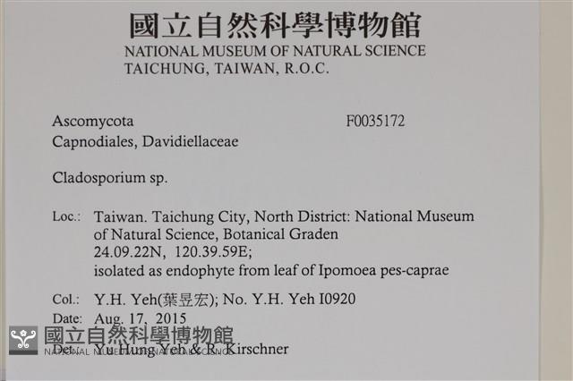 登錄號:F0035172藏品圖，第2張