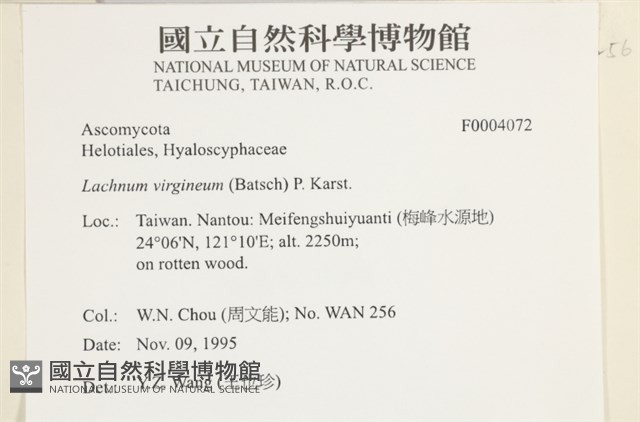 登錄號:F0004072藏品圖，第4張