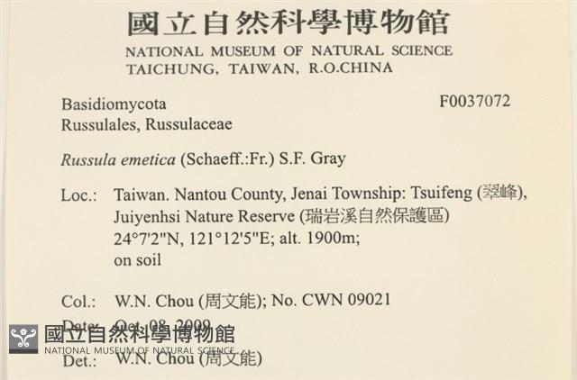 登錄號:F0037072藏品圖，第2張