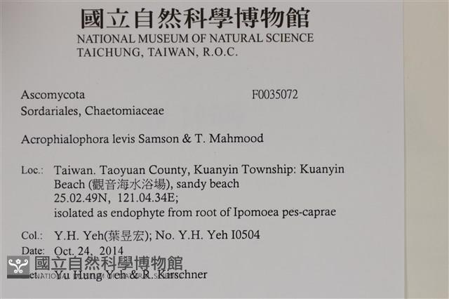 登錄號:F0035072藏品圖，第2張