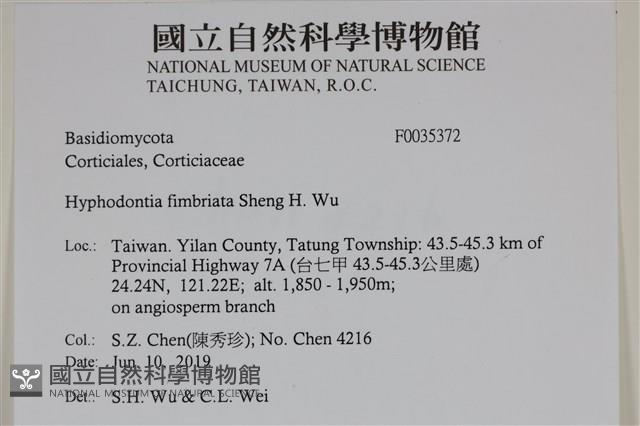 登錄號:F0035372藏品圖，第2張