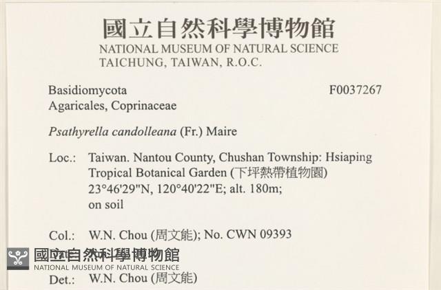登錄號:F0037267藏品圖，第2張