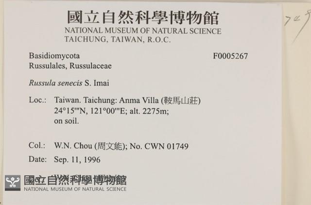 登錄號:F0005267藏品圖，第4張