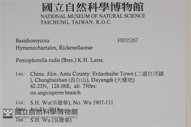 登錄號:F0035267藏品圖，第2張
