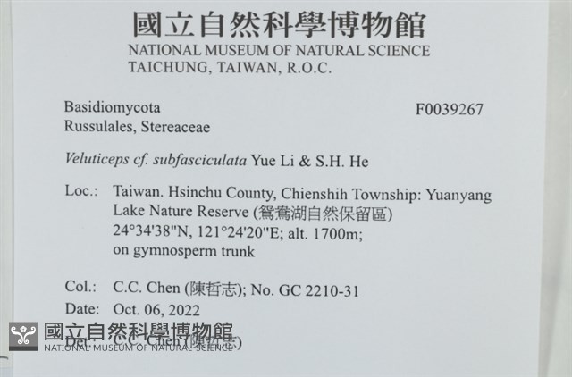 登錄號:F0039267藏品圖，第2張