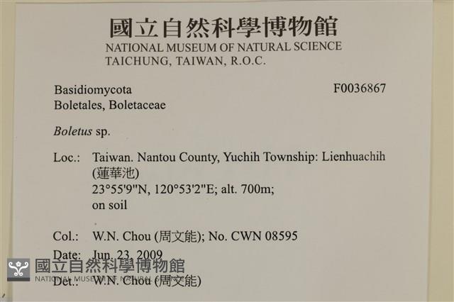 登錄號:F0036867藏品圖，第2張