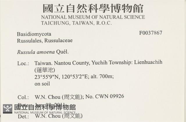 登錄號:F0037867藏品圖，第2張