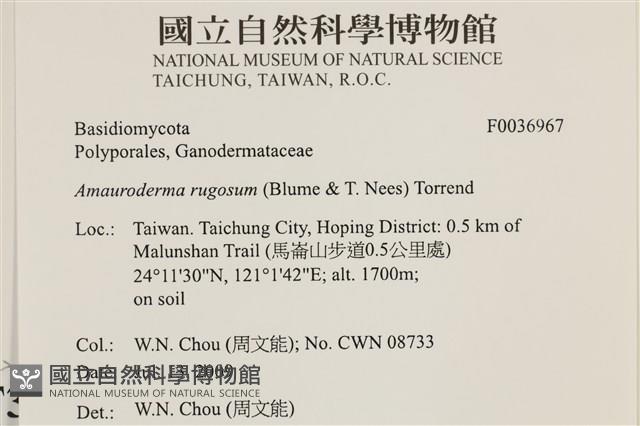 登錄號:F0036967藏品圖，第2張