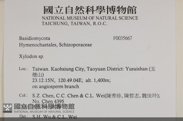 登錄號:F0035667藏品圖，第2張