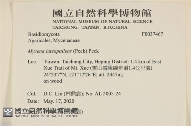 登錄號:F0037467藏品圖，第2張