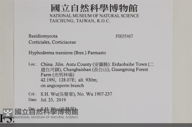 登錄號:F0035467藏品圖，第2張