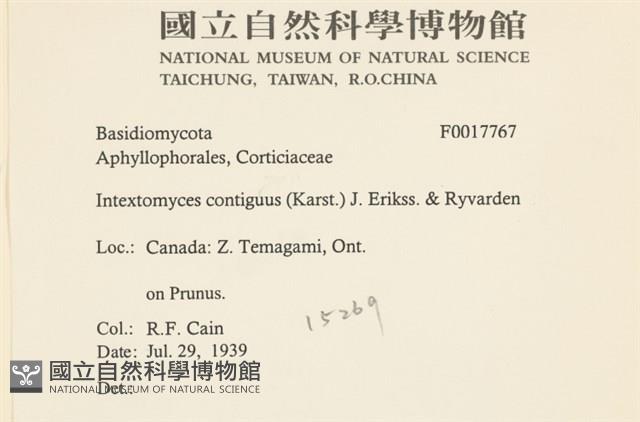 登錄號:F0017767藏品圖，第2張