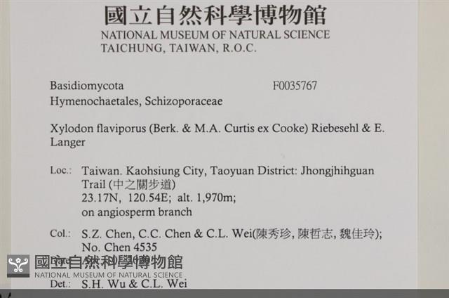登錄號:F0035767藏品圖，第2張