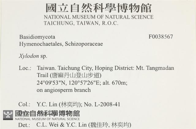 登錄號:F0038567藏品圖，第2張