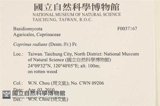 登錄號:F0037167藏品圖，第2張