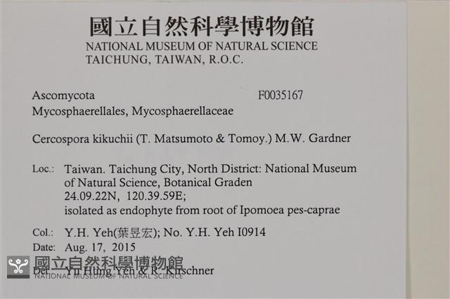 登錄號:F0035167藏品圖，第2張