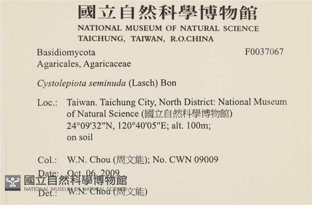 登錄號:F0037067藏品圖，第2張