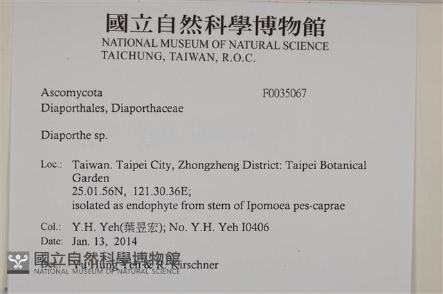 登錄號:F0035067藏品圖，第2張