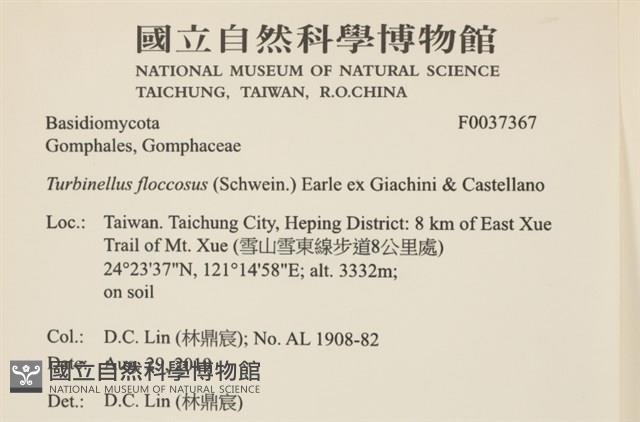 登錄號:F0037367藏品圖，第2張