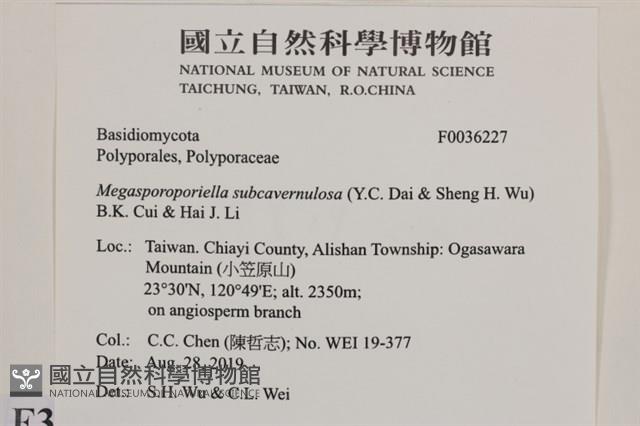 登錄號:F0036227藏品圖，第2張