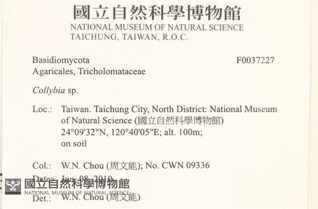 登錄號:F0037227藏品圖，第2張